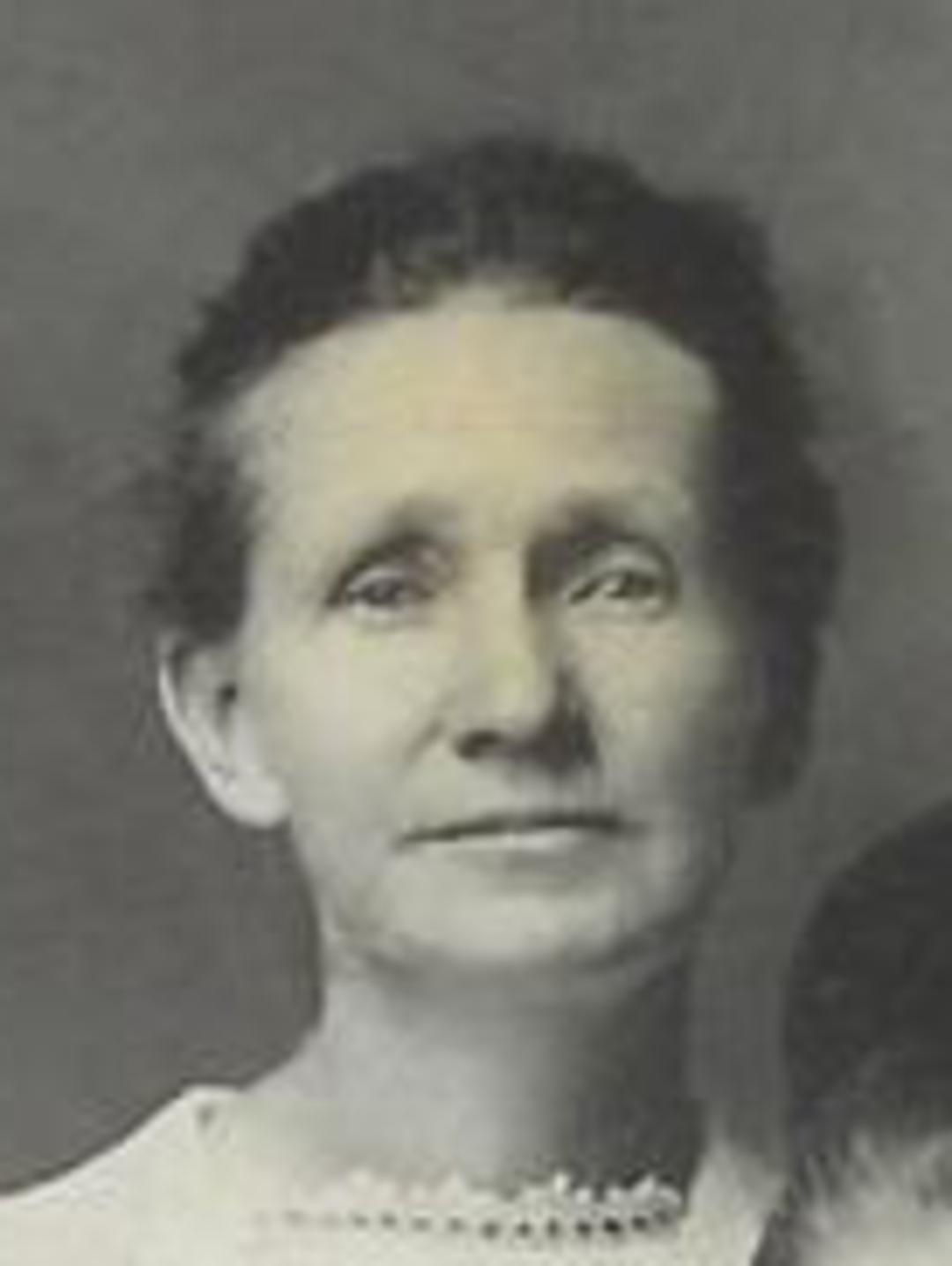 Susannah Cooper (1862 - 1943) Profile